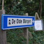 DSC08878